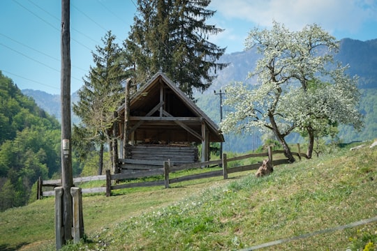brown wooden house near green trees during daytime in Bohinjska Bela Slovenia
