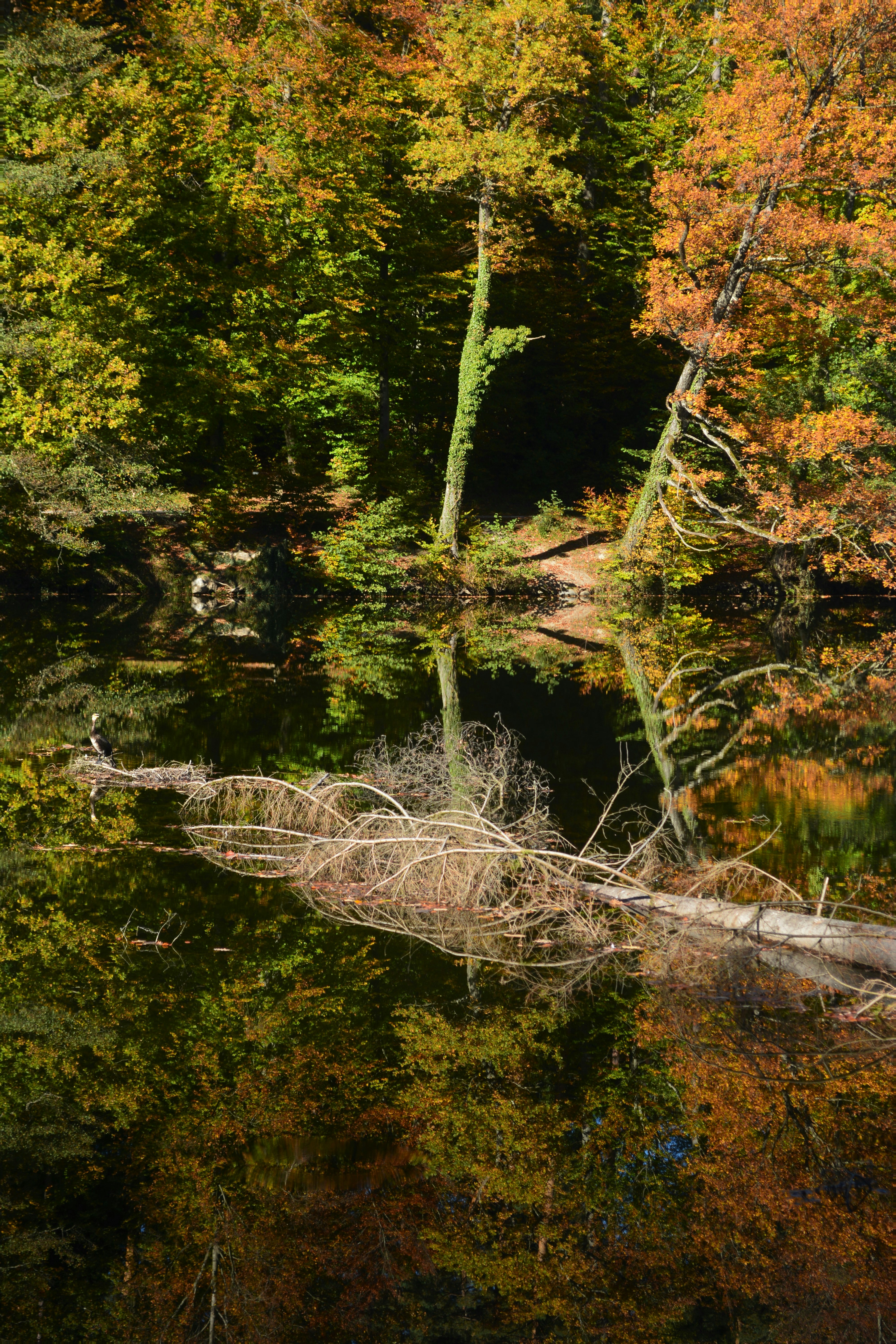 Photo by pedrino5_official