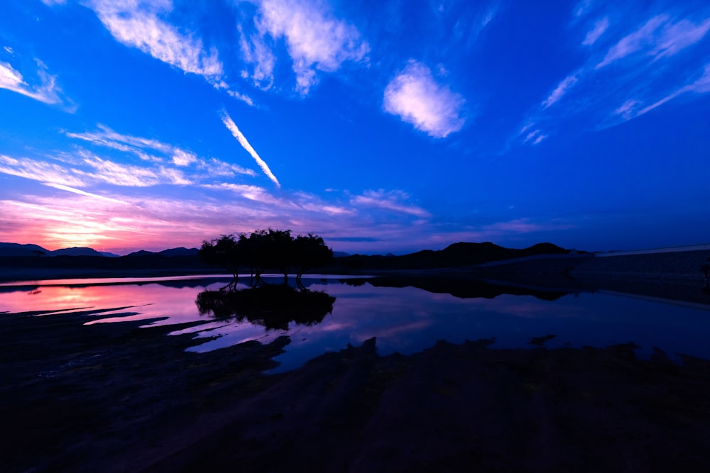 silhouette of trees near body of water during sunset