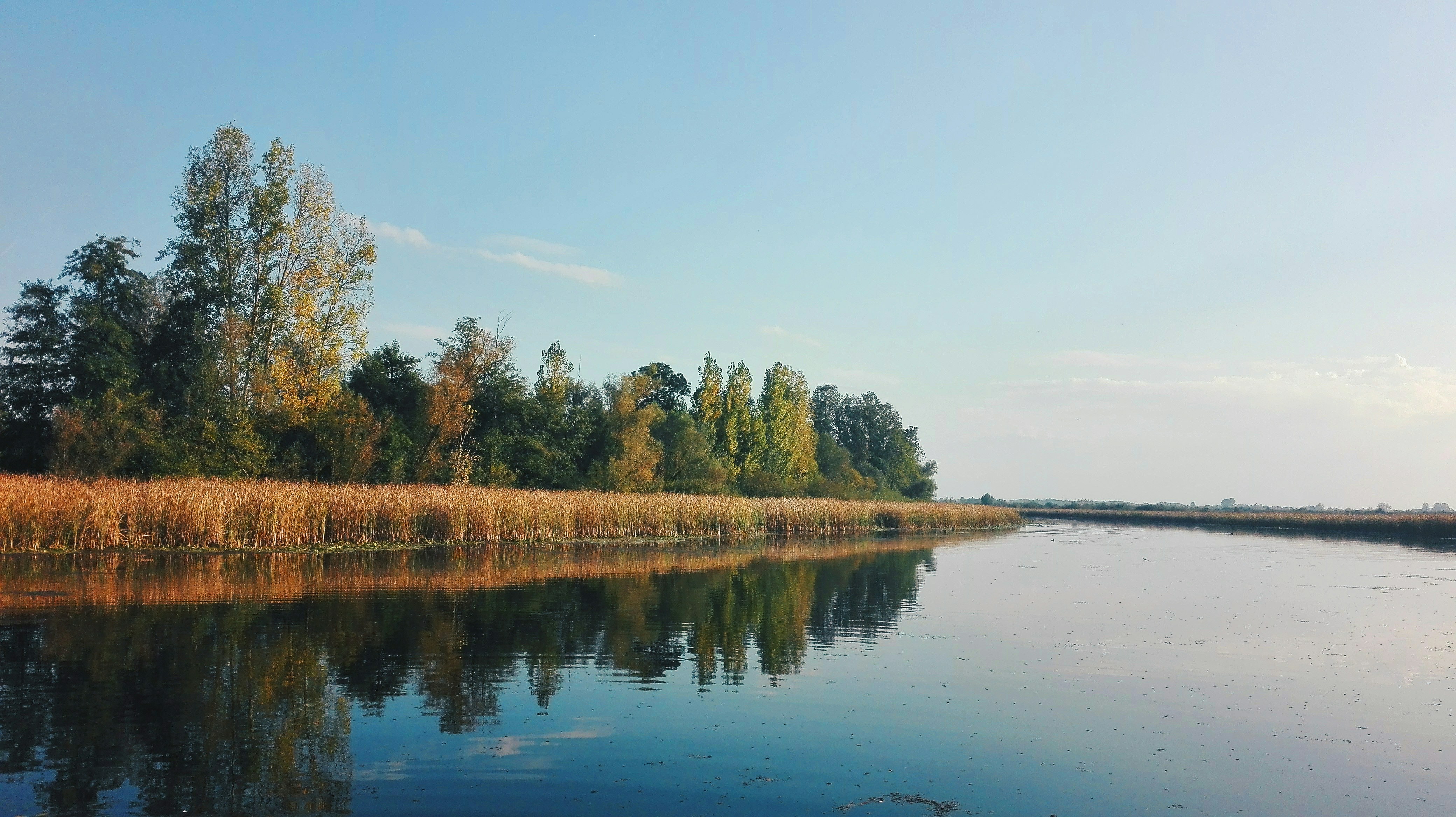 Photo by andjela_stamenkovic