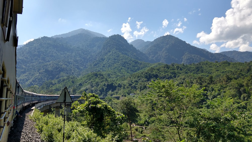 green trees and mountains during daytime