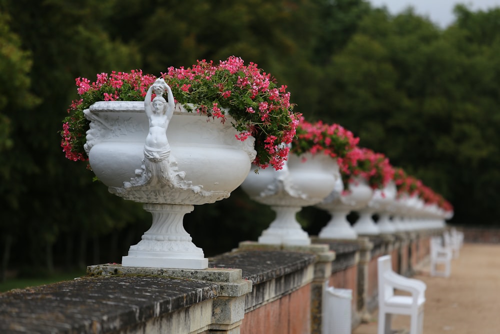 white ceramic bird bath on gray concrete fence