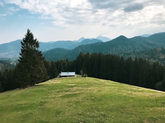 A premium hilltop plot framed by tall pine trees with panoramic Himalayan peaks visible in the distance at sunset.