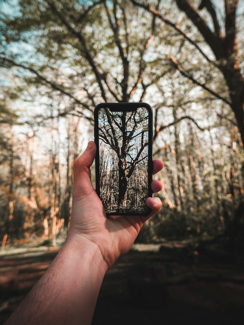 person holding black smartphone taking photo of trees during daytime