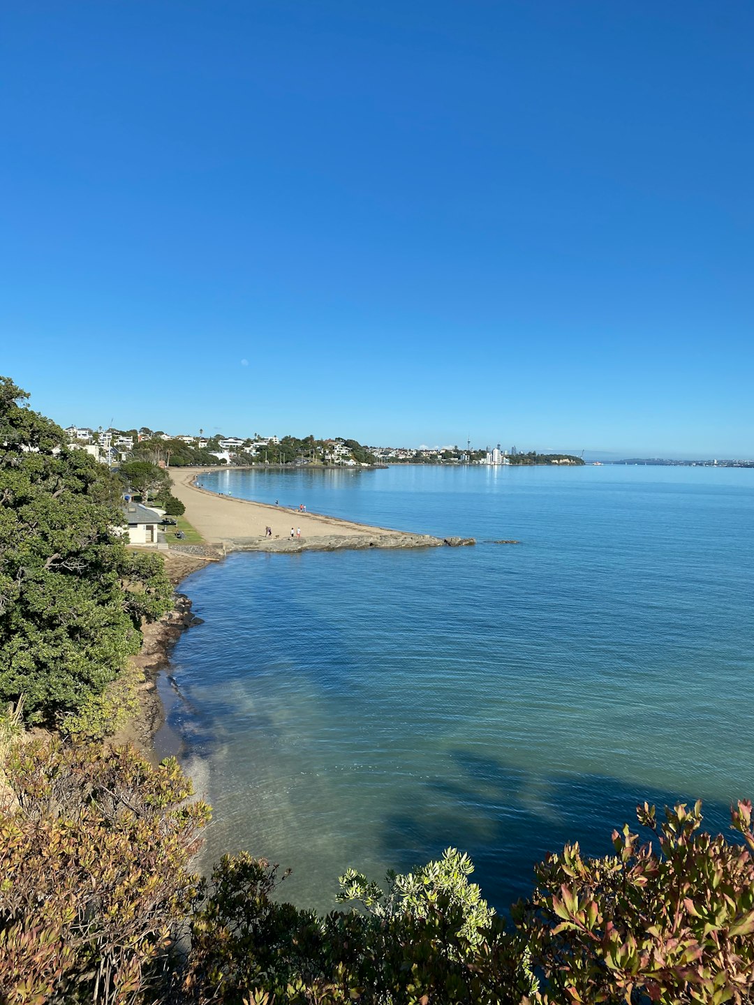 Shore photo spot Saint Heliers Bay Road Musick Point