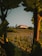 A vineyard stretches across rolling hills, framed by large leaves in the foreground. At the top of the hill, a picturesque building with a pointed tower and a red roof stands out against the sky. Rows of grapevines are neatly organized, suggesting a peaceful countryside setting.