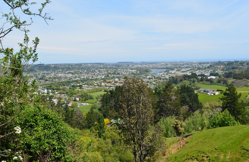 green trees and city buildings during daytime