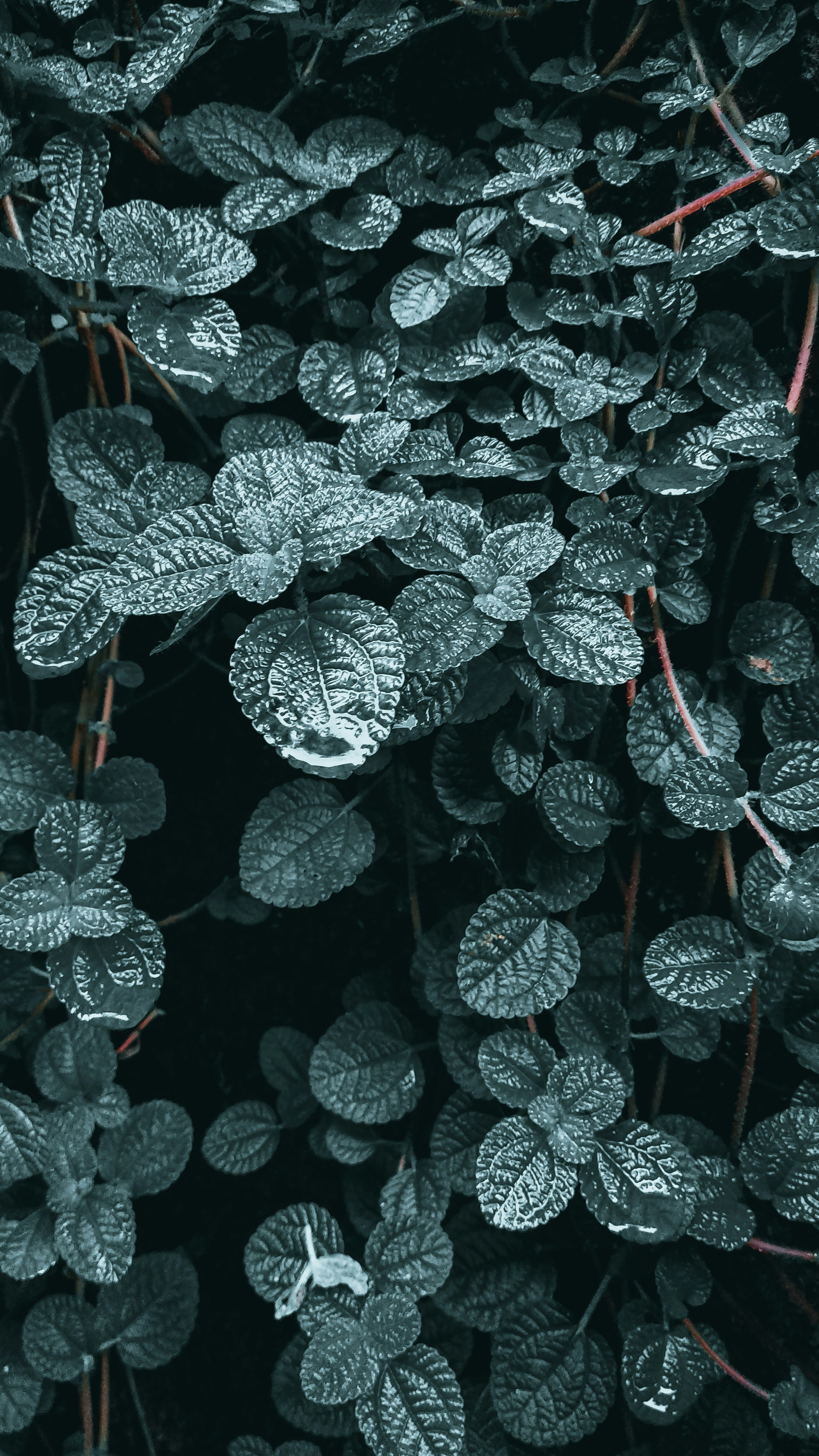 Photo by oktomi_jaya