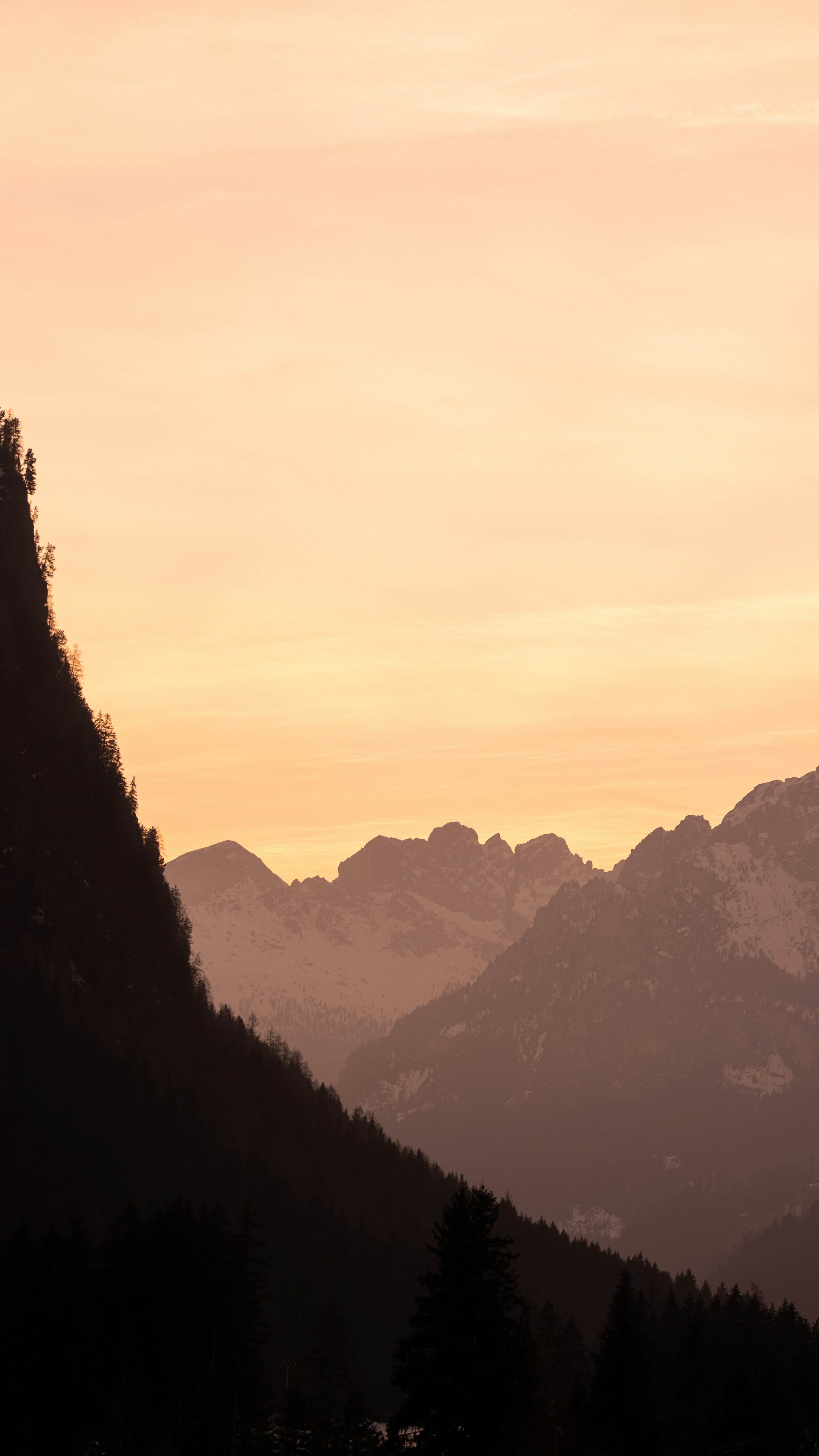 silhouette of trees and mountains during sunset