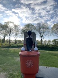 A red container labeled 'PAR AIDE' is mounted on a wooden post. On top of the container, there is a small black figure with two white golf balls resting next to it. In the background, a grassy field is bordered by a row of trees with newly sprouted leaves. The sky above is partly cloudy with patches of blue visible.