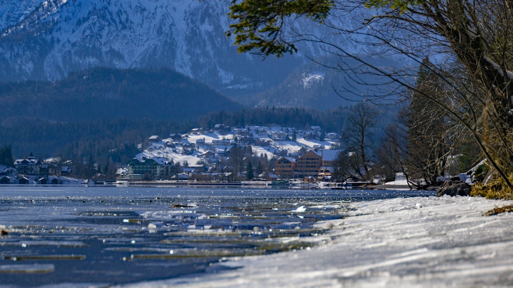 Grüne Bäume in der Nähe von schneebedeckten Bergen während des Tages