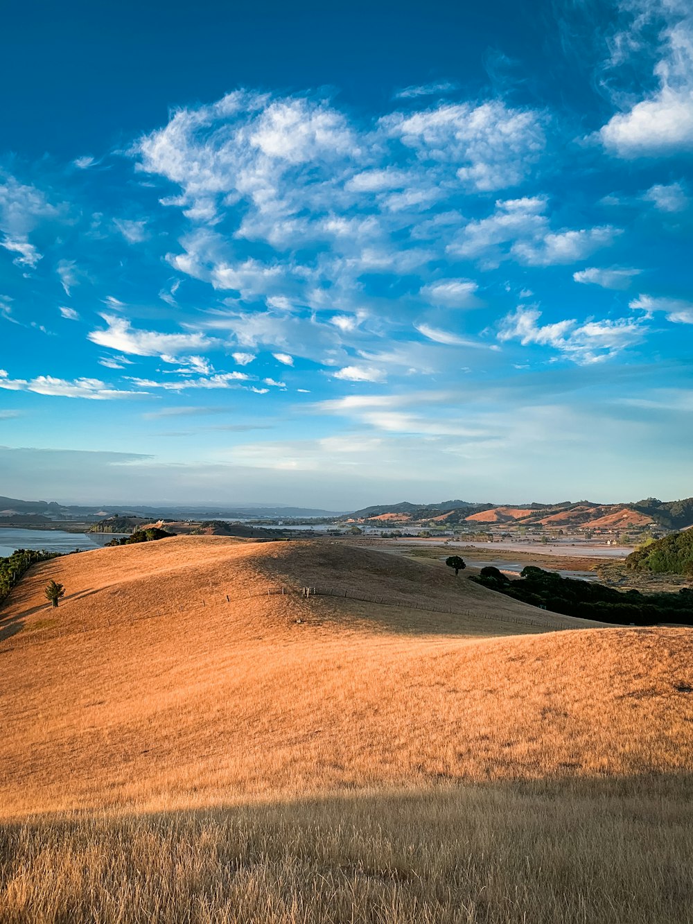 brown field under blue sky during daytime