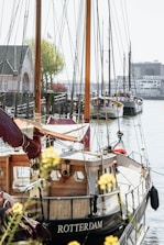 A small harbor scene featuring several boats docked along the water. The wooden hull of the nearest boat displays the name 'Rotterdam'. The setting includes a picturesque, historical building on the left, with trees and a clear sky in the background. Delicate yellow flowers slightly blur the foreground, adding a touch of color.