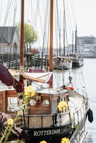 A small harbor scene featuring several boats docked along the water. The wooden hull of the nearest boat displays the name 'Rotterdam'. The setting includes a picturesque, historical building on the left, with trees and a clear sky in the background. Delicate yellow flowers slightly blur the foreground, adding a touch of color.