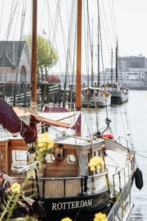 A small harbor scene featuring several boats docked along the water. The wooden hull of the nearest boat displays the name 'Rotterdam'. The setting includes a picturesque, historical building on the left, with trees and a clear sky in the background. Delicate yellow flowers slightly blur the foreground, adding a touch of color.