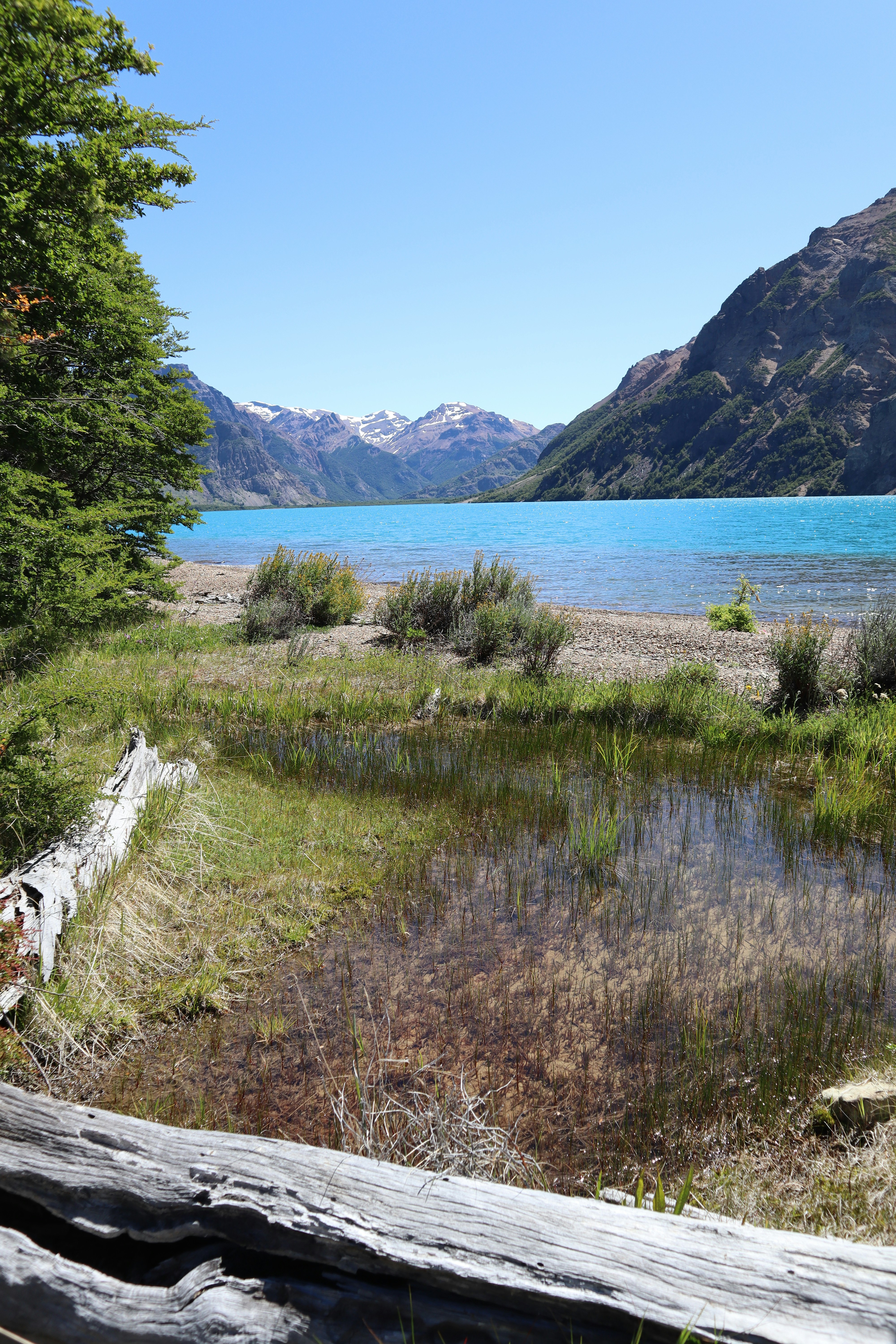 green grass field near body of water during daytime