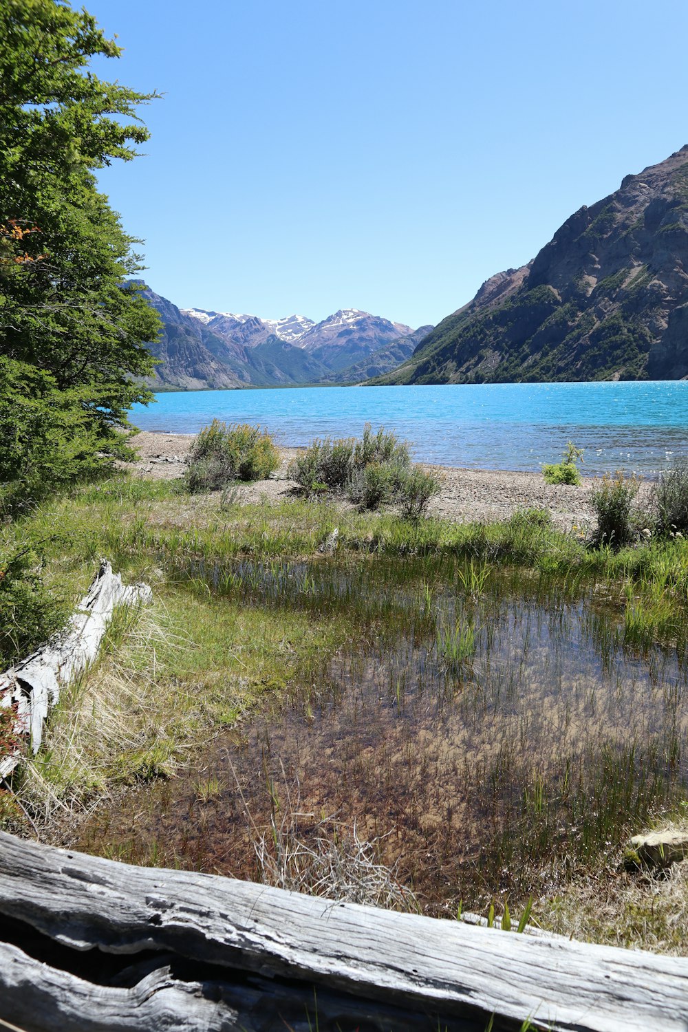 Champ d’herbe verte près d’un plan d’eau pendant la journée