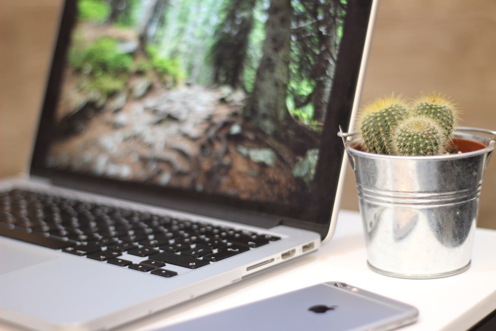 silver cup on silver laptop computer