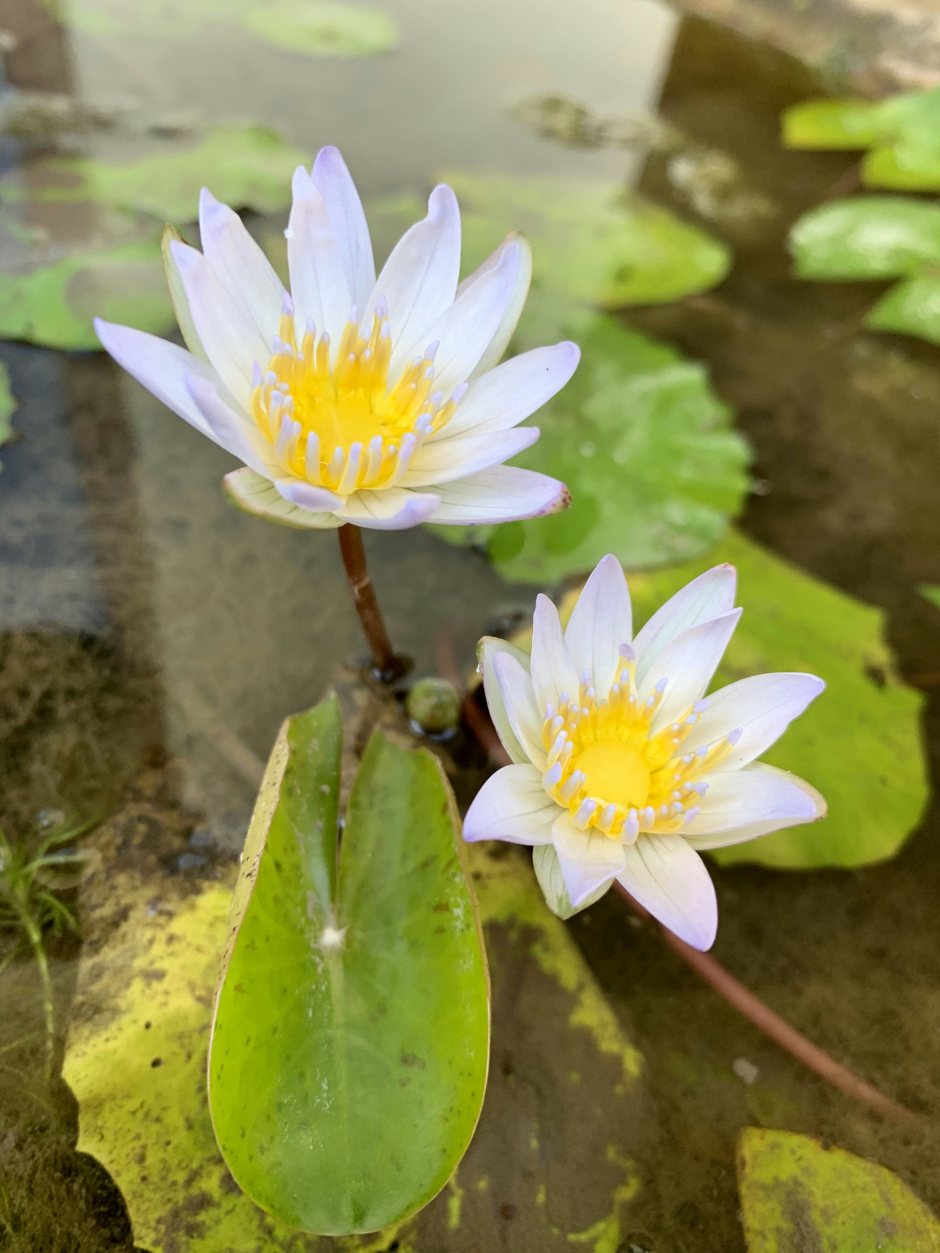 Photo by ashley_hayes