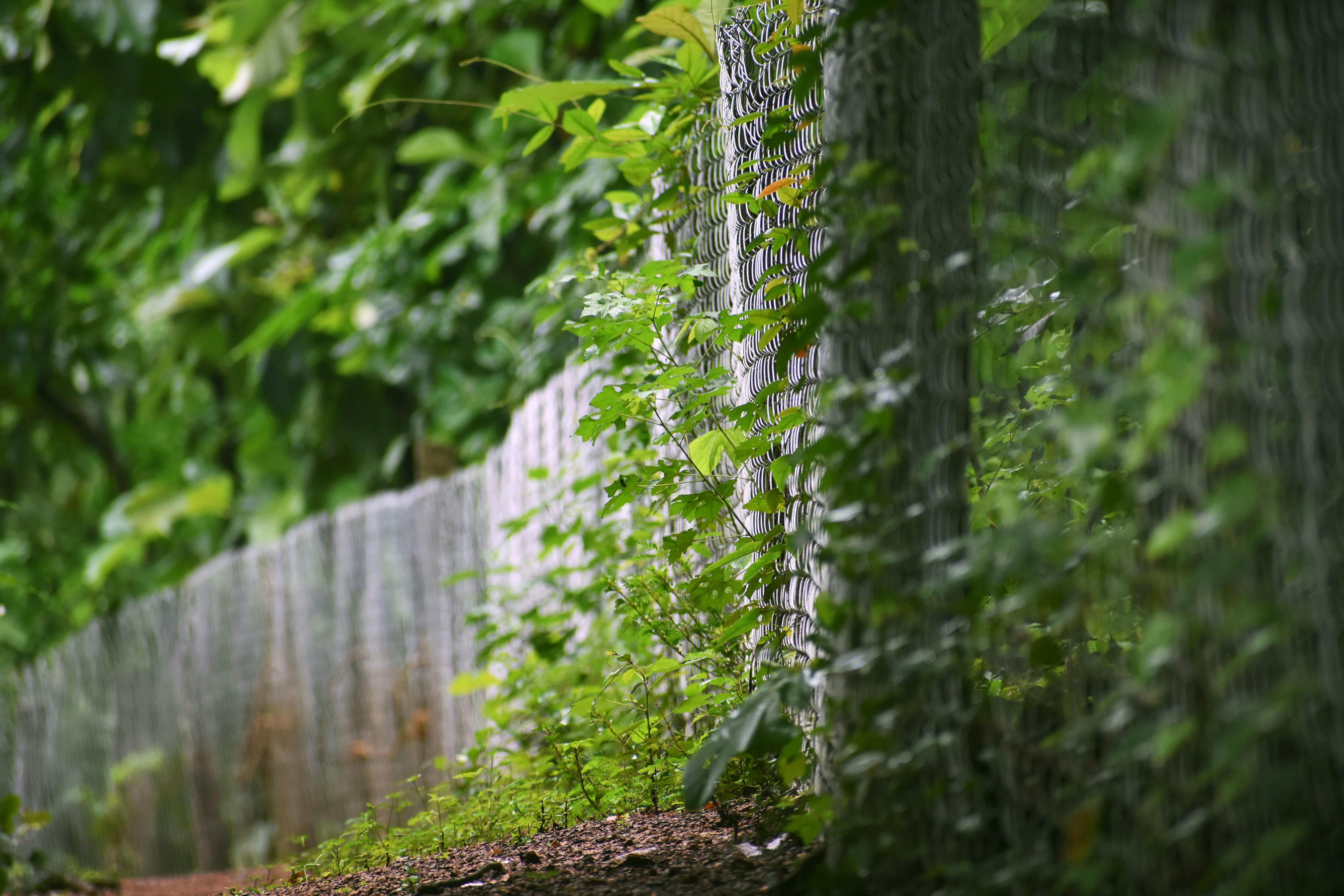 Photo by rajeshrajx8