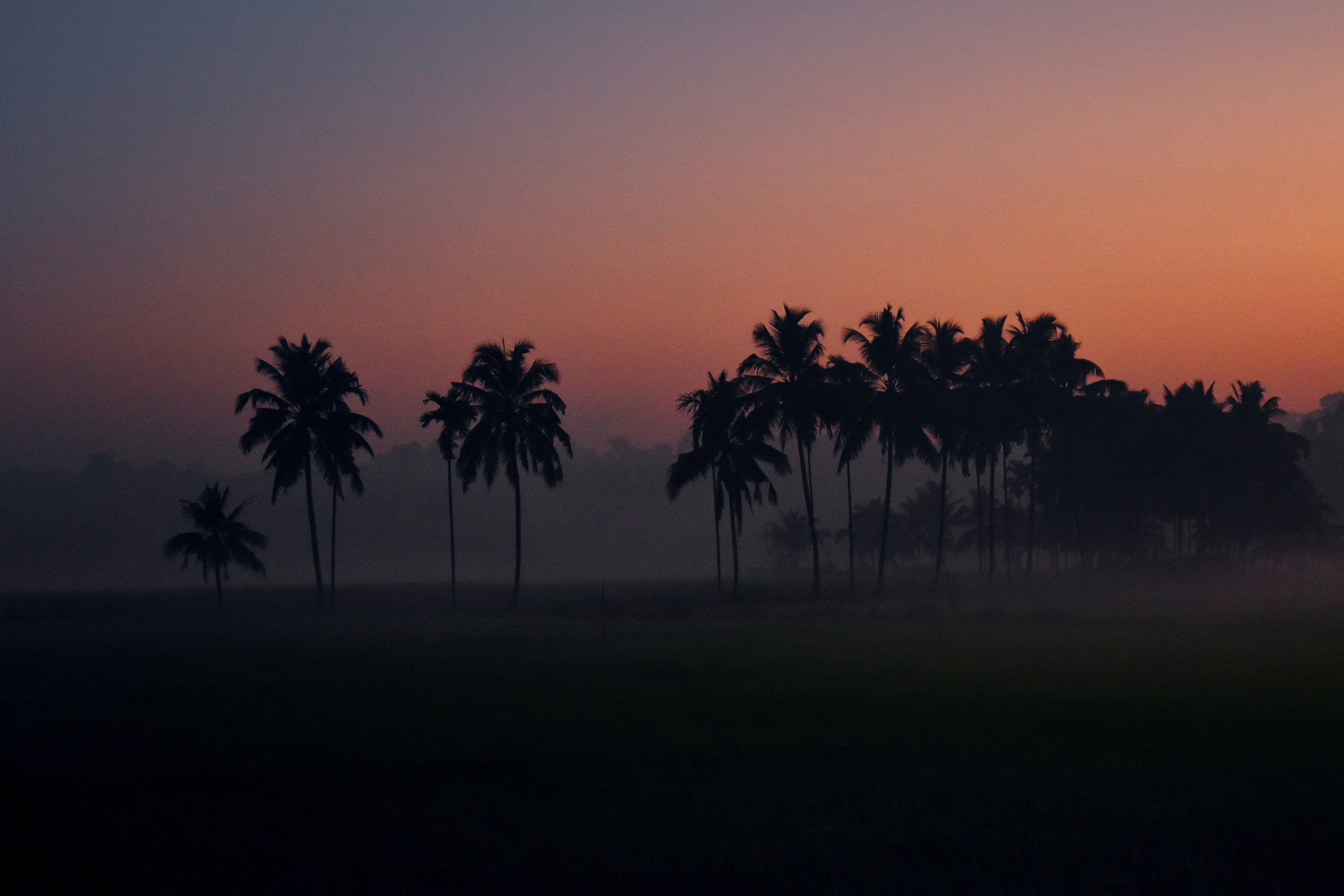 Photo by rajeshrajx8