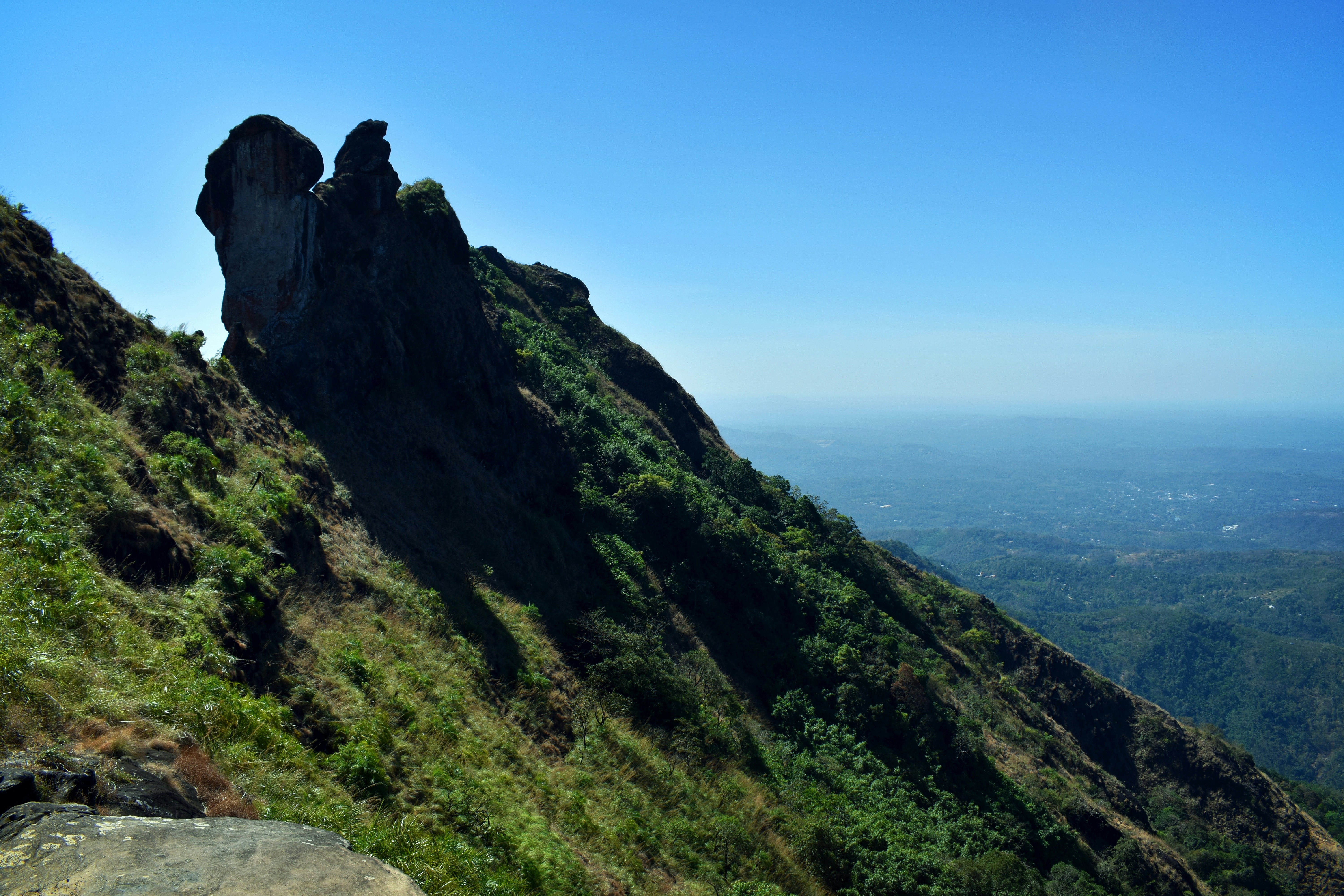 Photo by rajeshrajx8