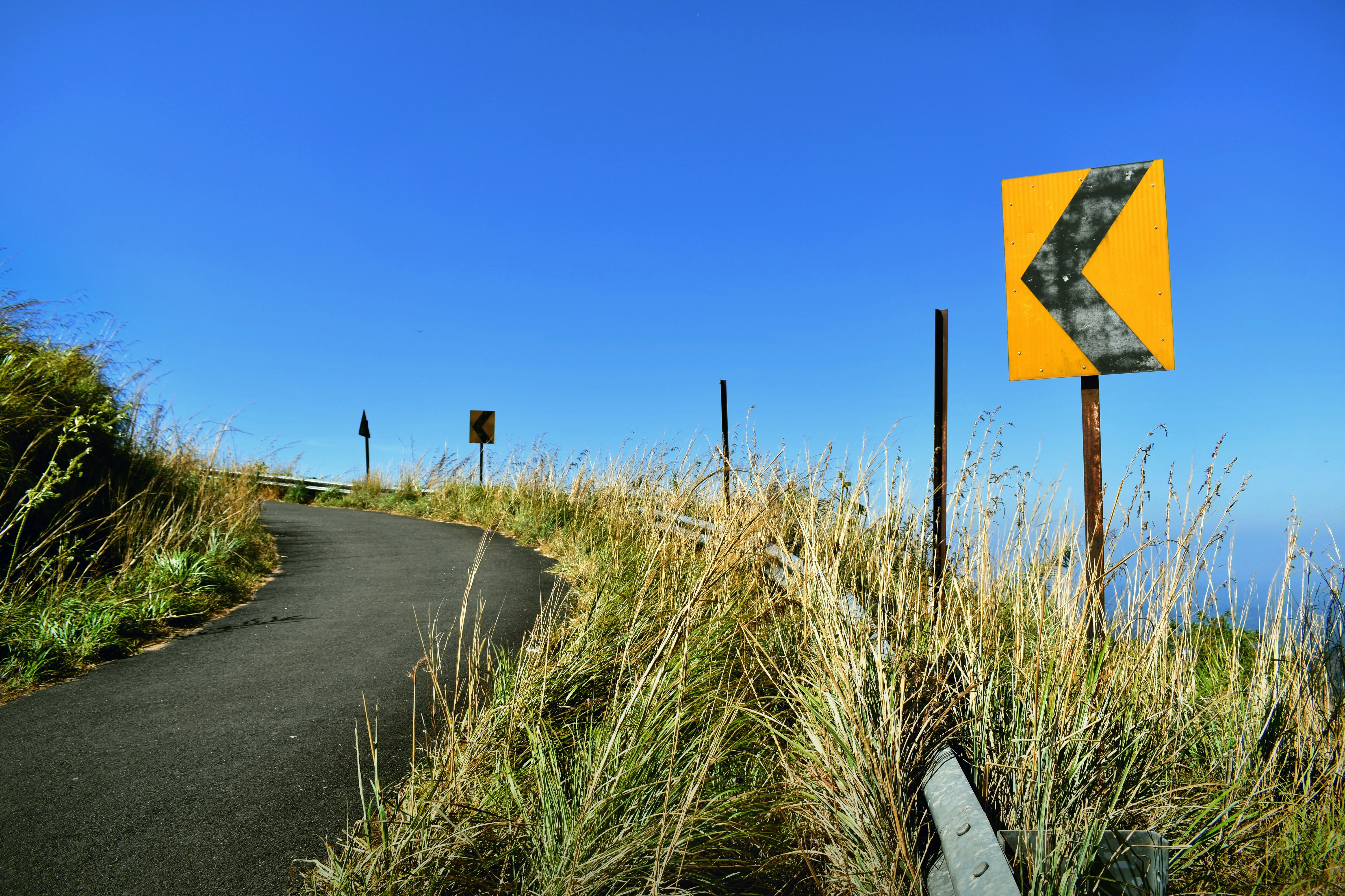 Photo by rajeshrajx8