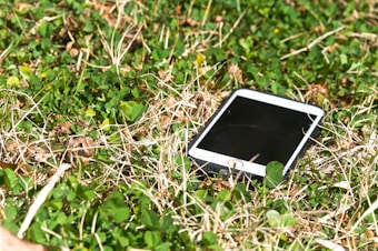 A smartphone with a cracked screen lies on a patch of grass with some dried leaves and green clover-like plants scattered around.