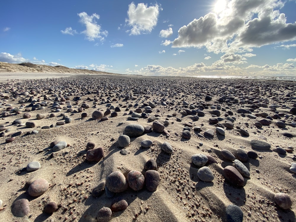 brown stones on brown sand under blue sky during daytime