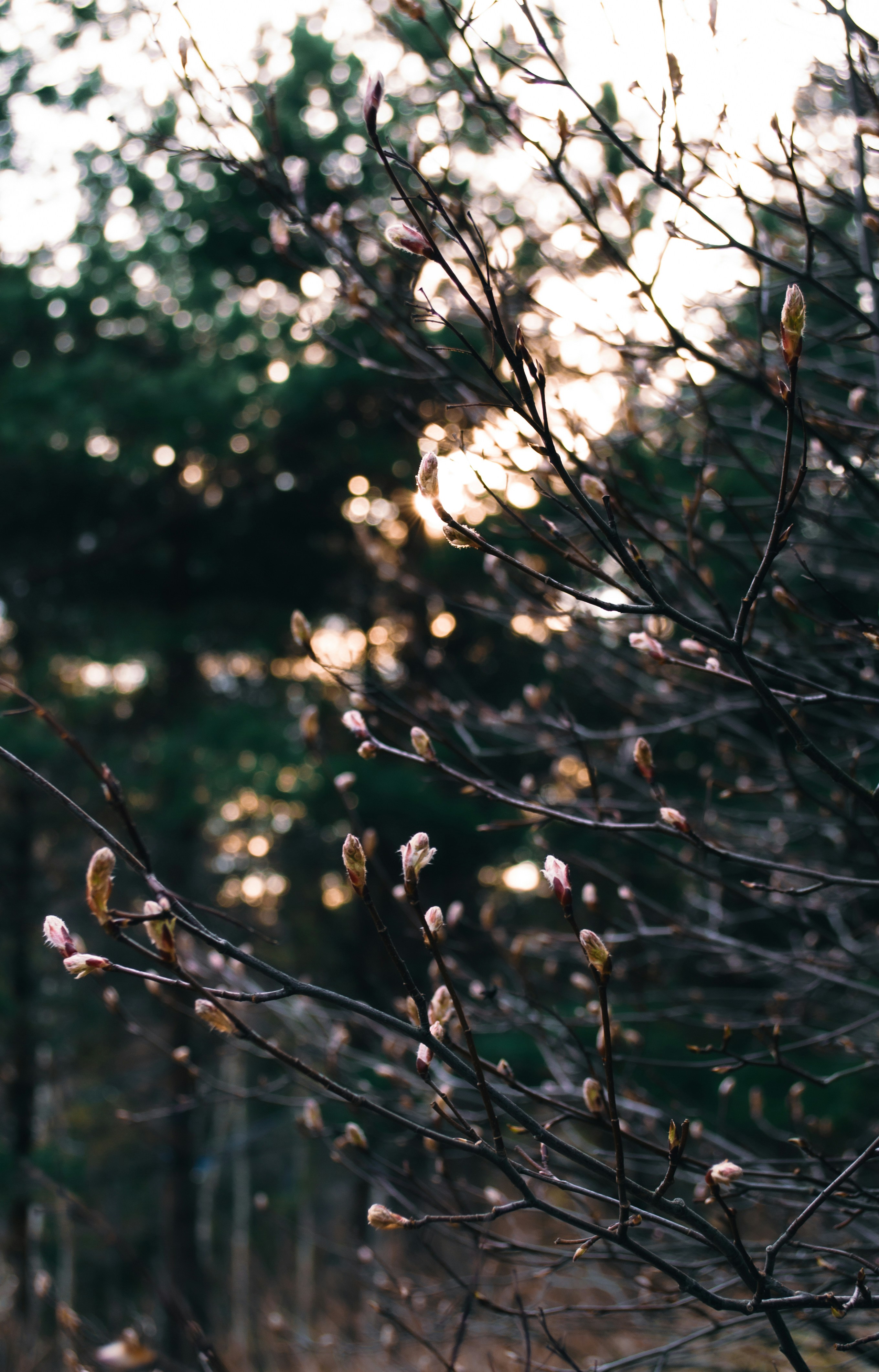 Photo by walking_abby