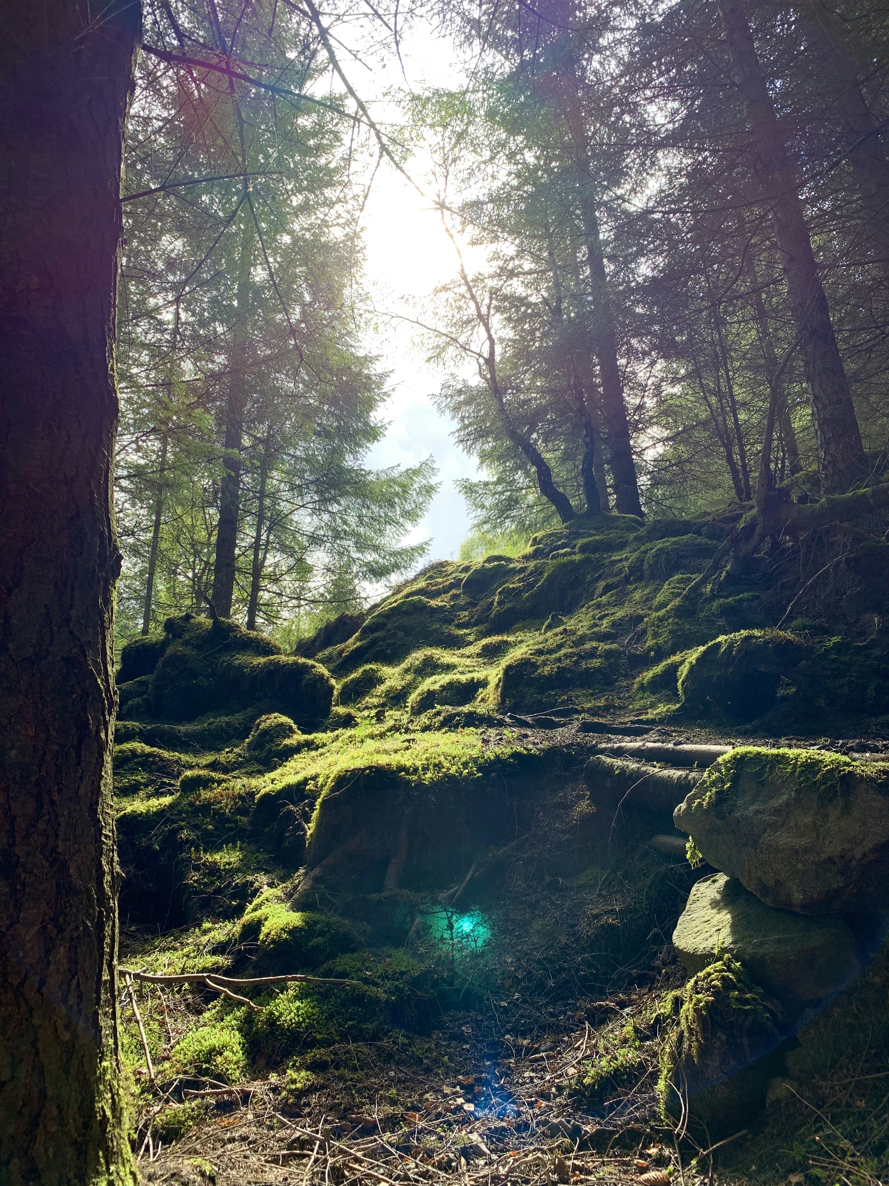 Brocken Mountain photo 2