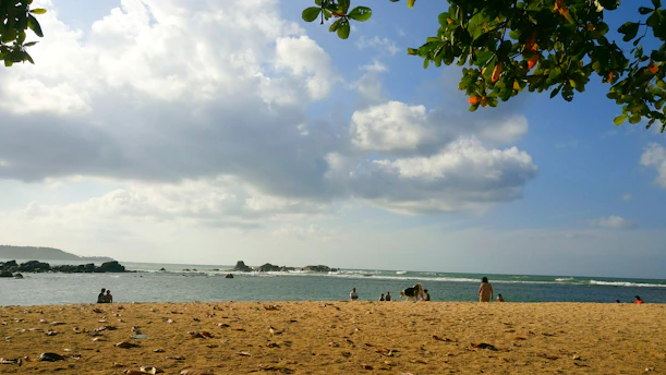 people on beach under cloudy sky during daytime