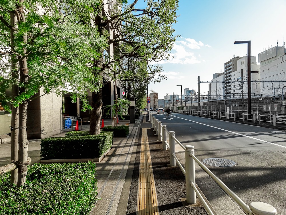 green tree beside gray concrete road during daytime