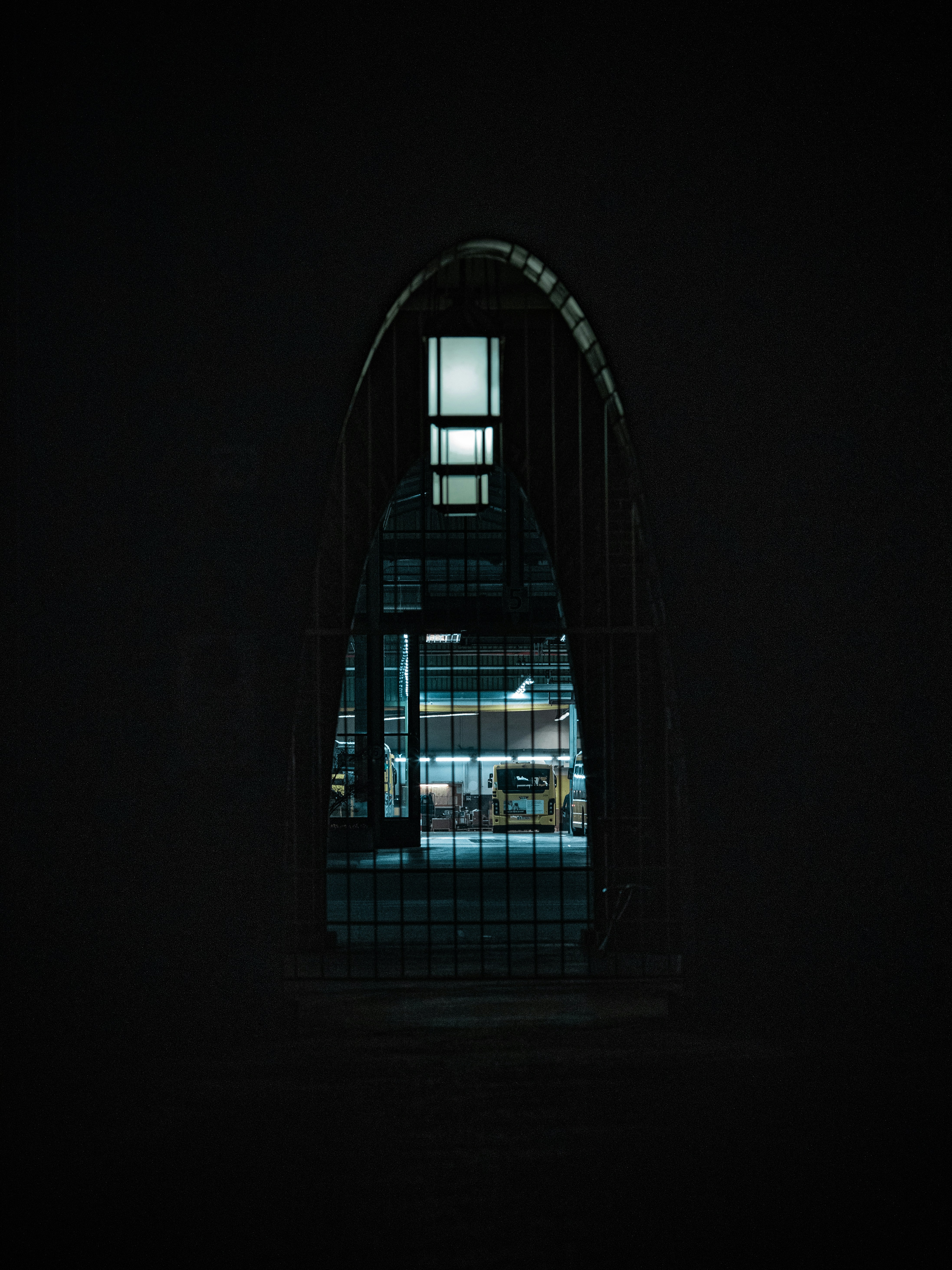 Photo by _king_louie_