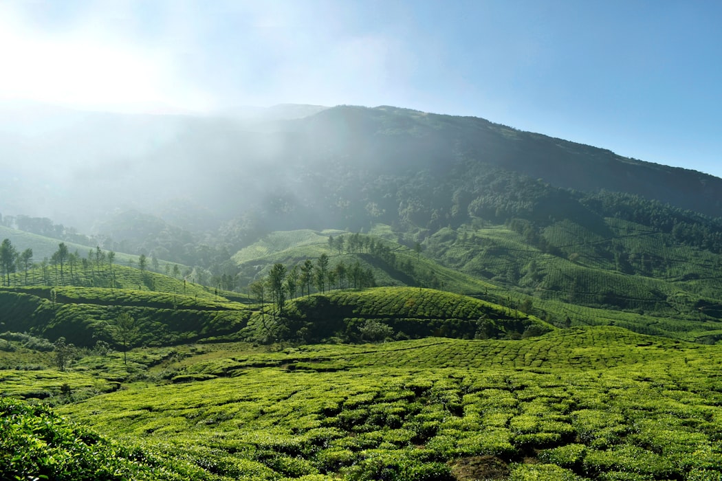 Munnar kerala