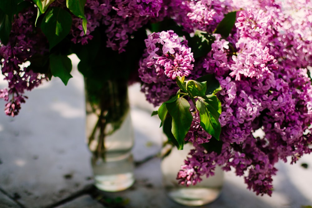 purple flowers in clear glass vase