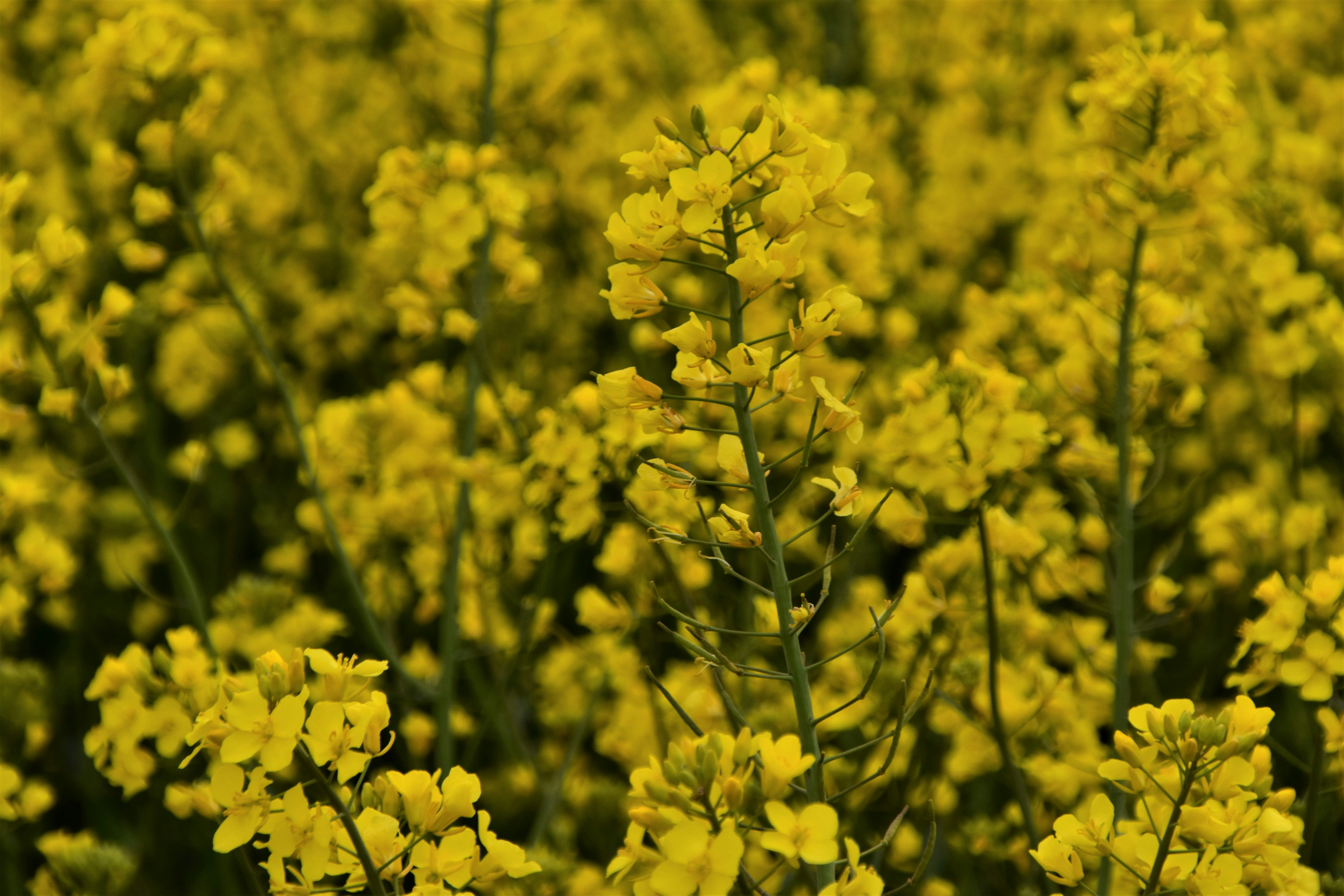 Photo by waldemarbrandt67w