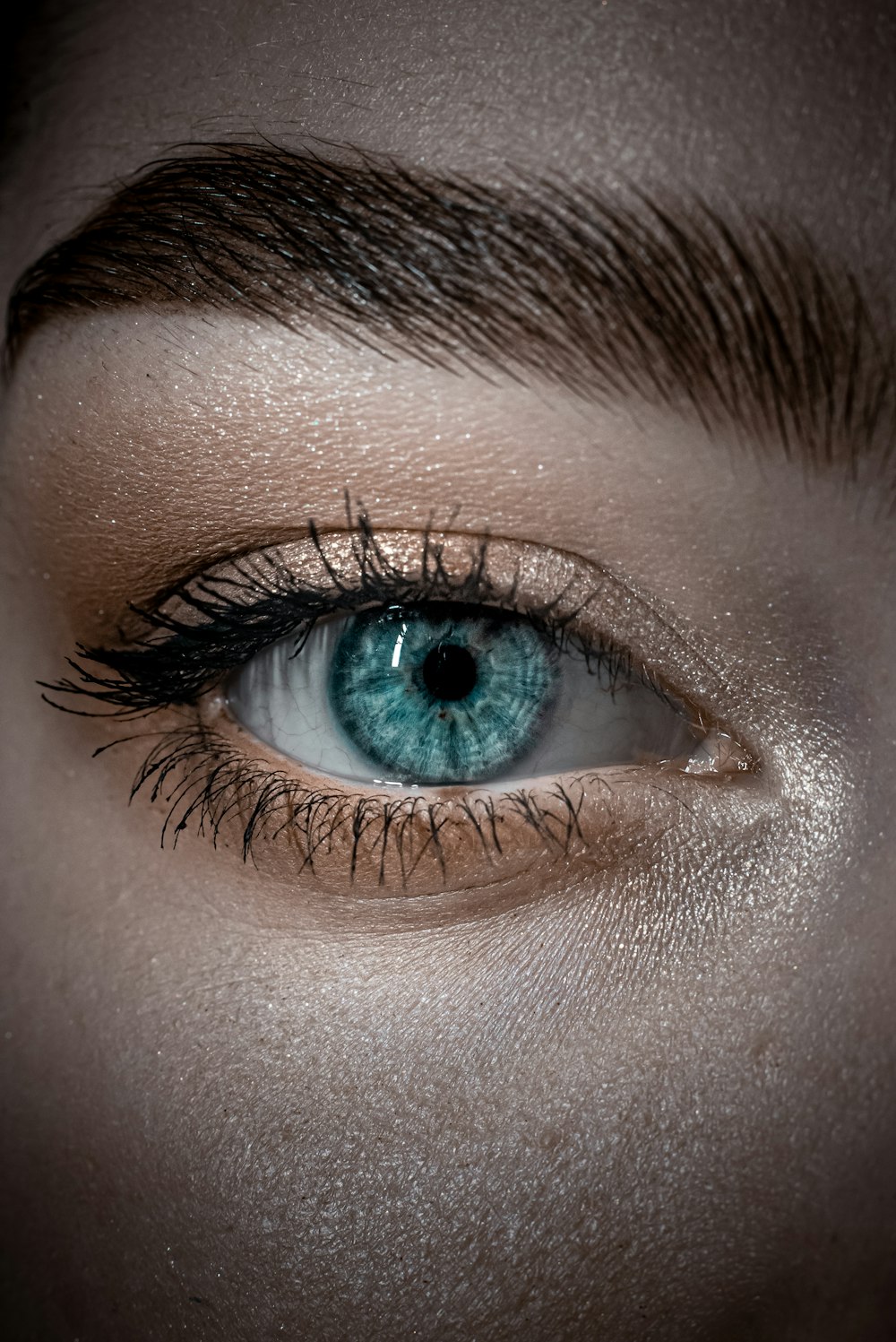 persons blue eyes in close up photography