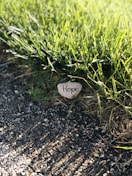 white and black i love you print stone on black soil