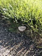 white and black i love you print stone on black soil