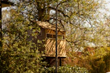 brown wooden house in the middle of green trees