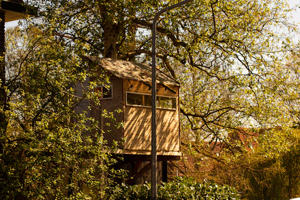 brown wooden house in the middle of green trees