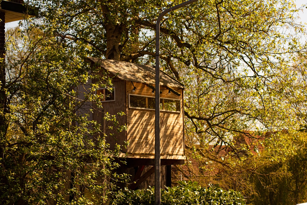 Cabane dans les arbres : weekend insolite