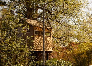 brown wooden house in the middle of green trees