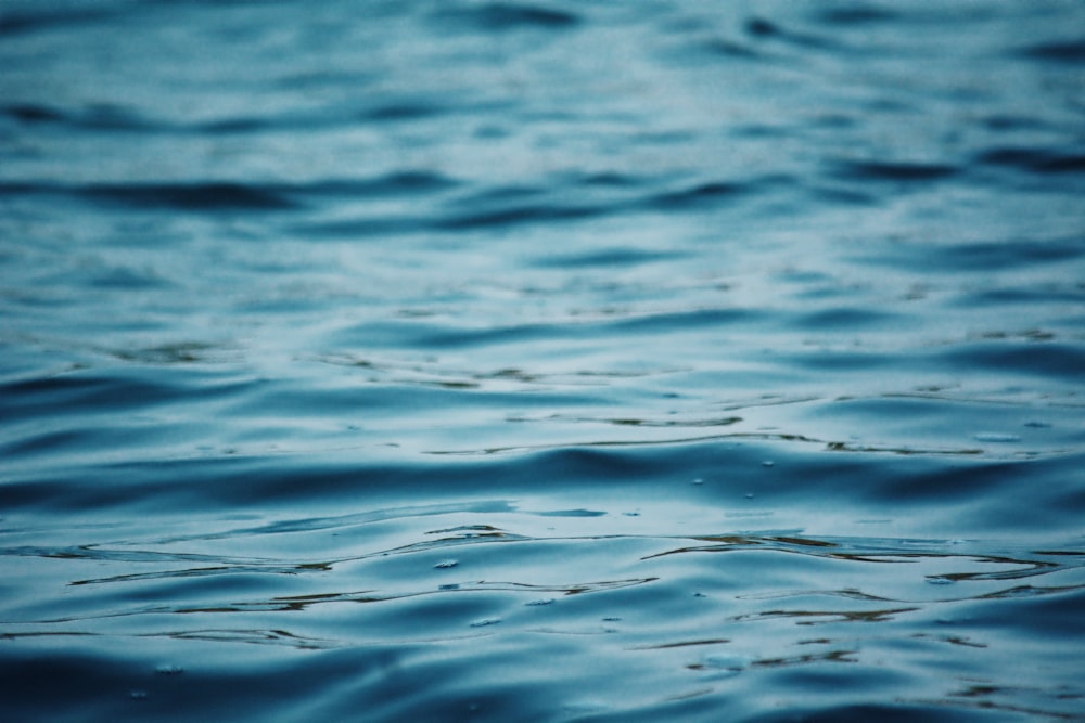 blue body of water during daytime