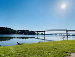 green grass field near body of water under blue sky during daytime