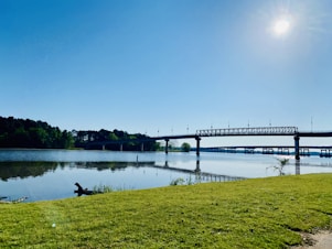 green grass field near body of water under blue sky during daytime