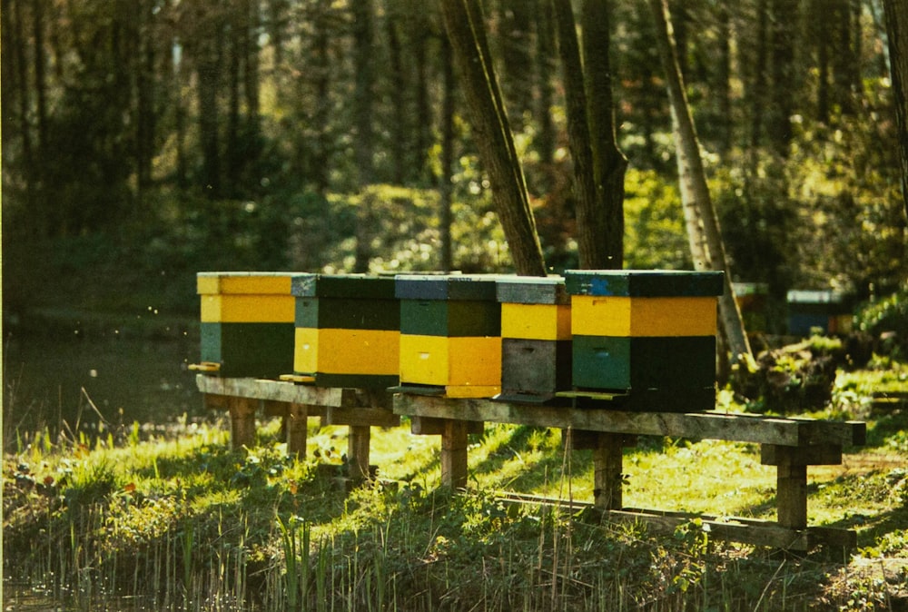 gelb-schwarze Holzbänke auf grünem Rasenfeld