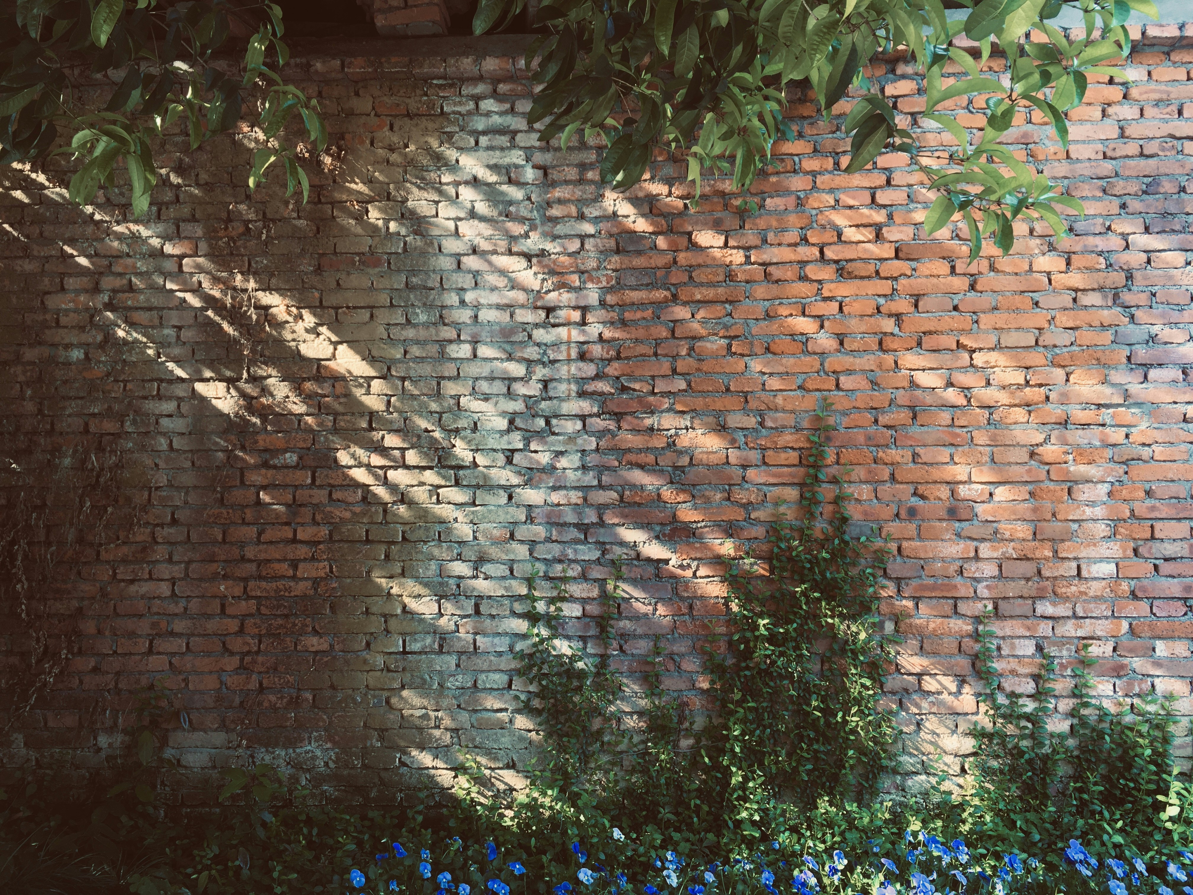 Photo by sunriseking