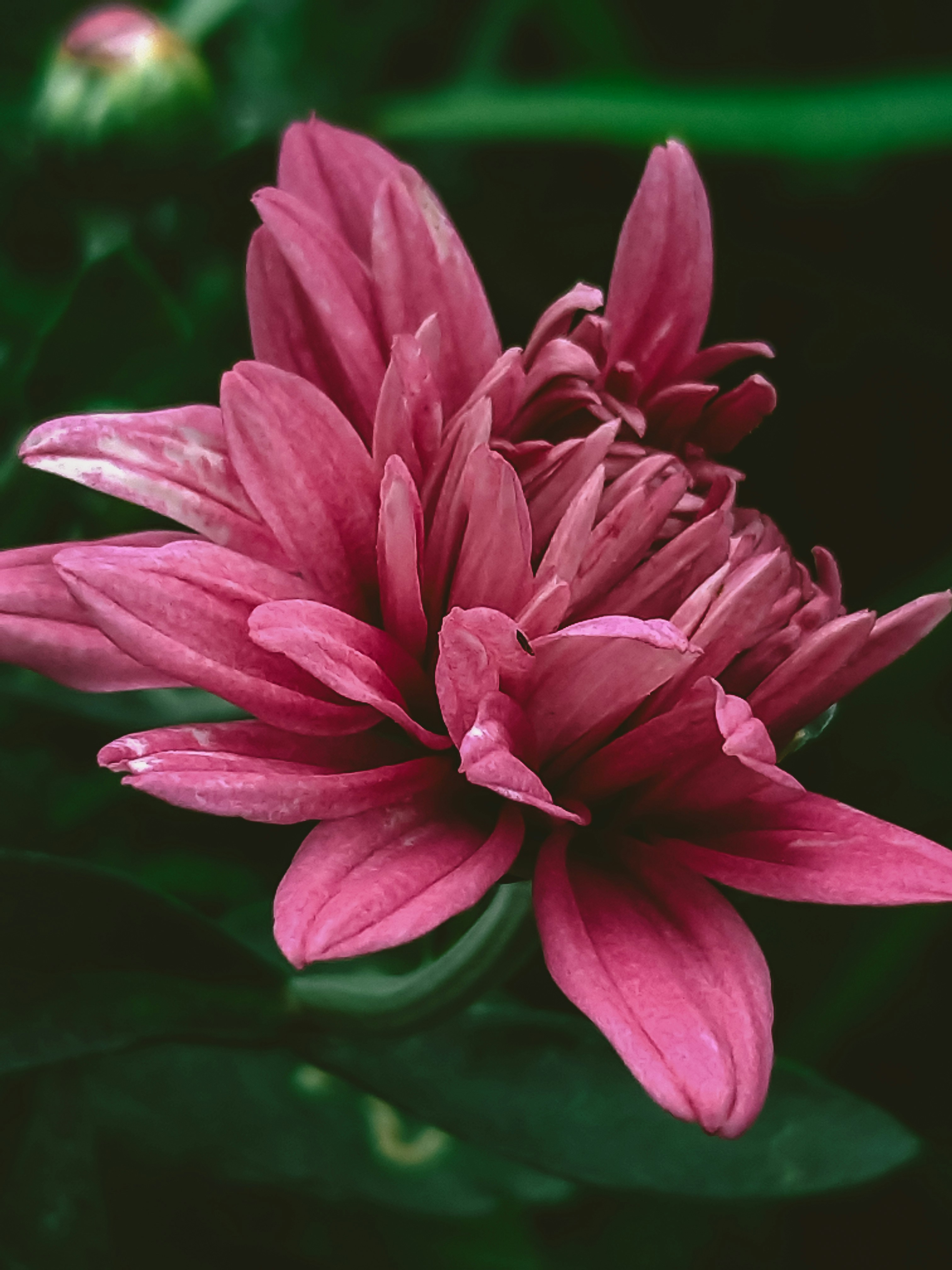 Photo by jordaniasiqueira